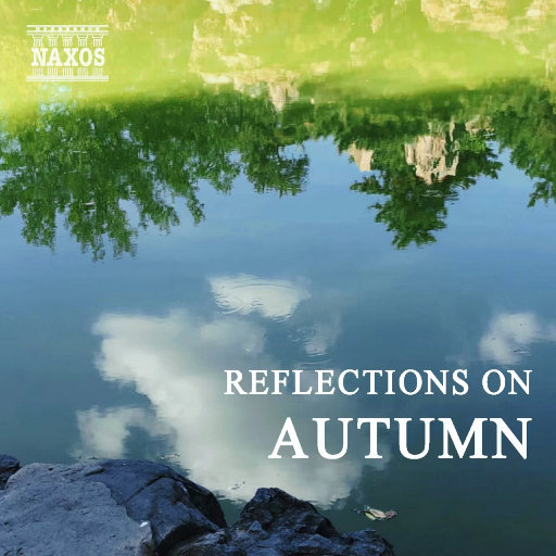 人妻大奶子视频
